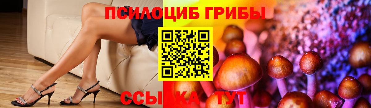 Каменск-Шахтинский  Псилоцибиновые грибы Psilocybine cubensis  Псилоцибиновые грибы мухоморы  Вход с VPN 